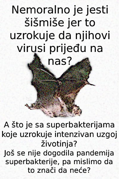 If eating bats is wrong because it causes coronavirus, eating factory-farmed meat is even more wrong because it causes superbacteria.