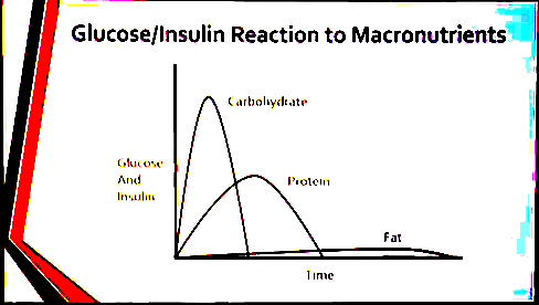 [Image: low_carbohydrate.PNG]