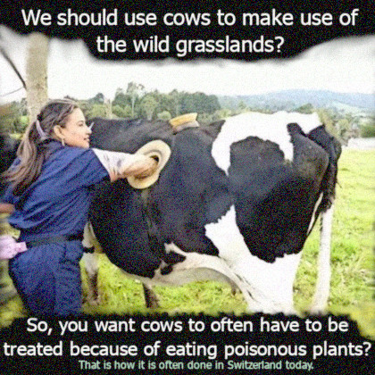 We should use cows to make use of the wild grasslands as land? So, you want cows to be poisoned by poisonous plants every now and then?